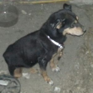 Meet your Posher, Dale